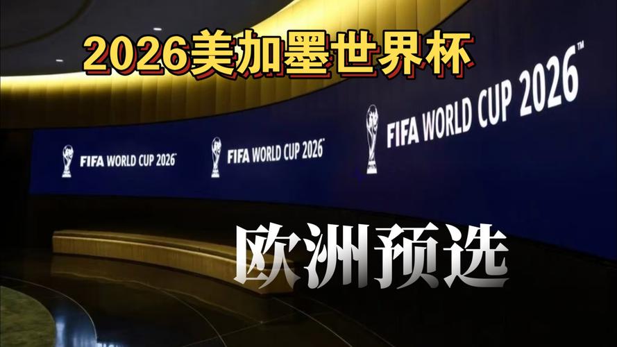 国家队经验